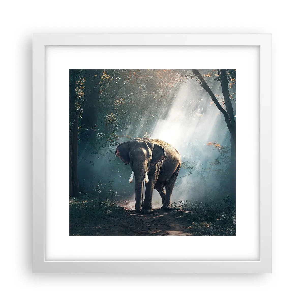 Poszter fekete keretben - Nyugodt séta - 30x30 cm