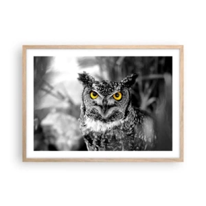 Poszter világos tölgy keretben - Semmi sem fog elbújni - 70x50 cm