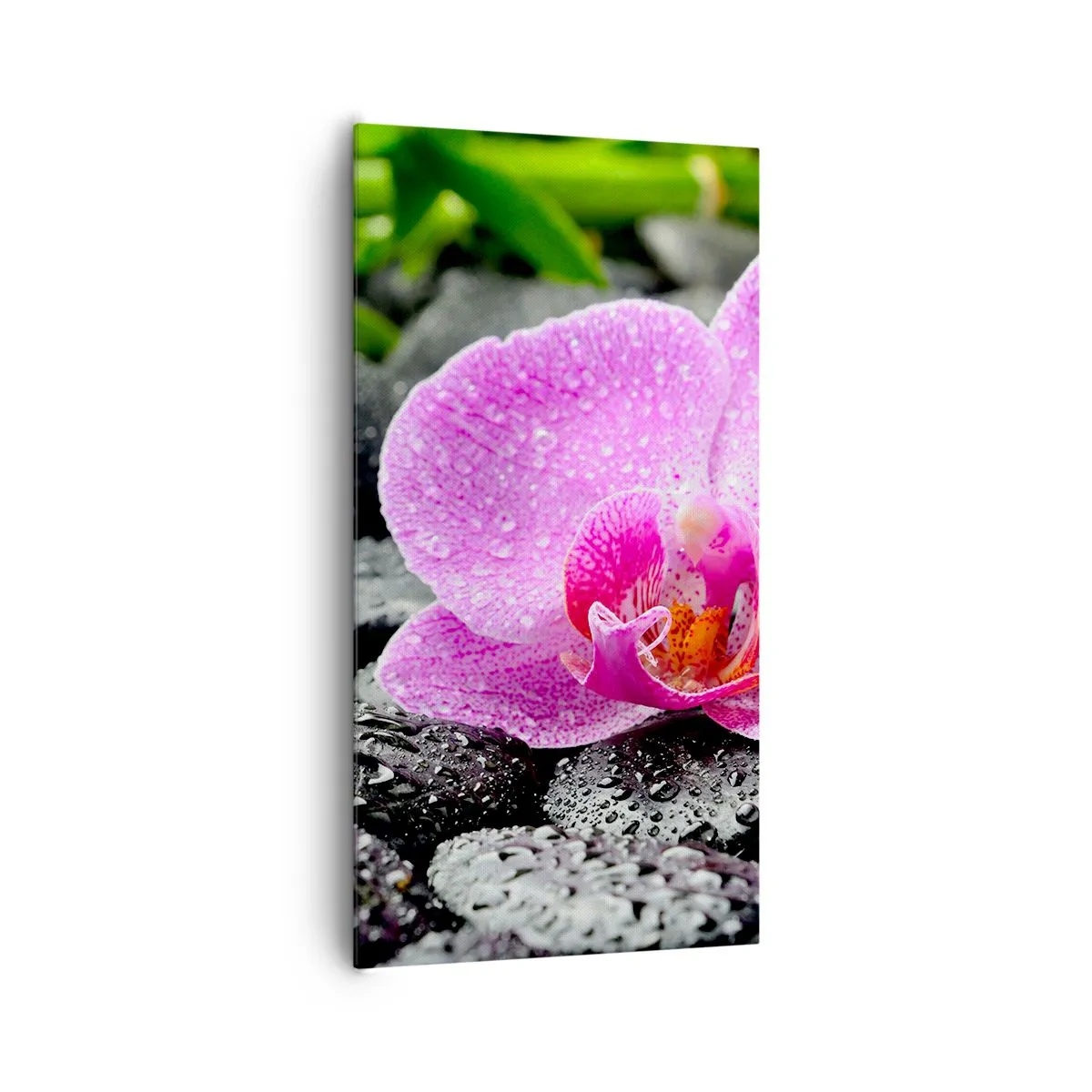 Vászonkép - Mint egy nyitott szív - 65x120 cm