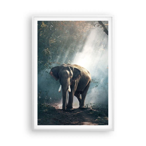 Poszter fekete keretben - Nyugodt séta - 70x100 cm