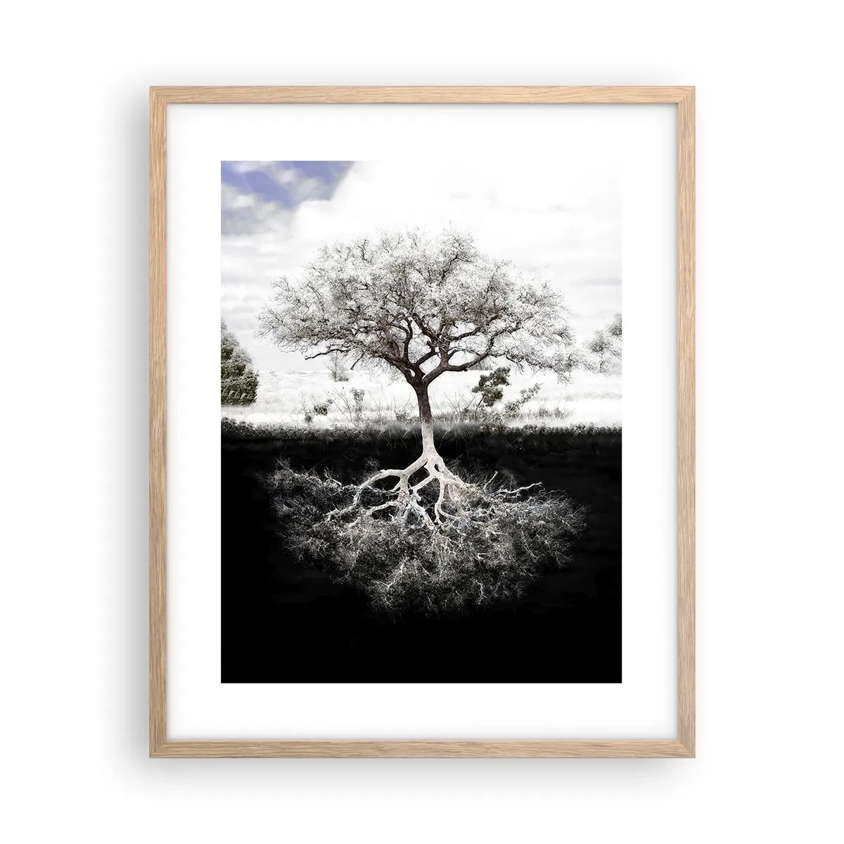 Poszter világos tölgy keretben - A világ természetének felfedezése - 40x50 cm