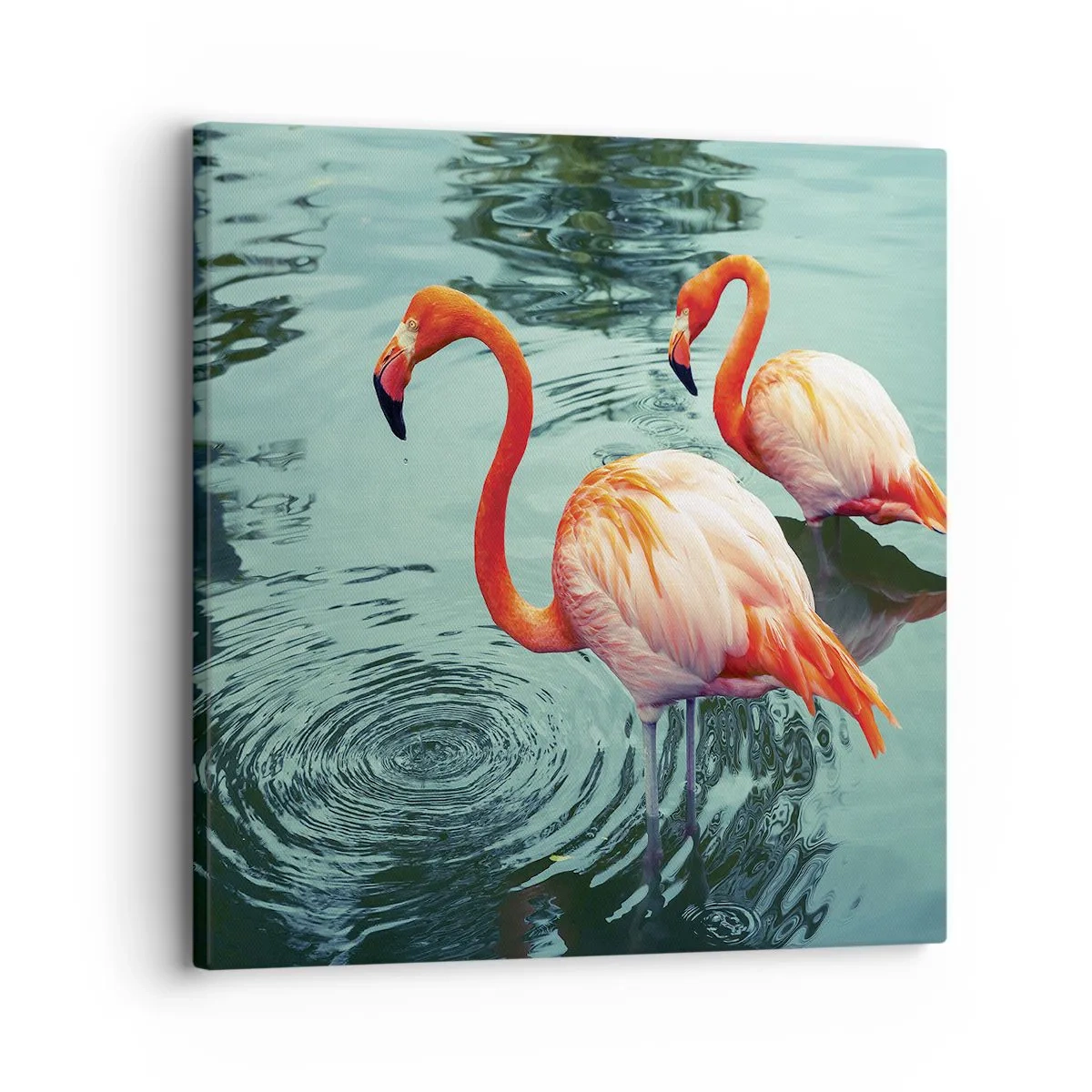 Vászonkép - Most divatban vagyunk - 30x30 cm