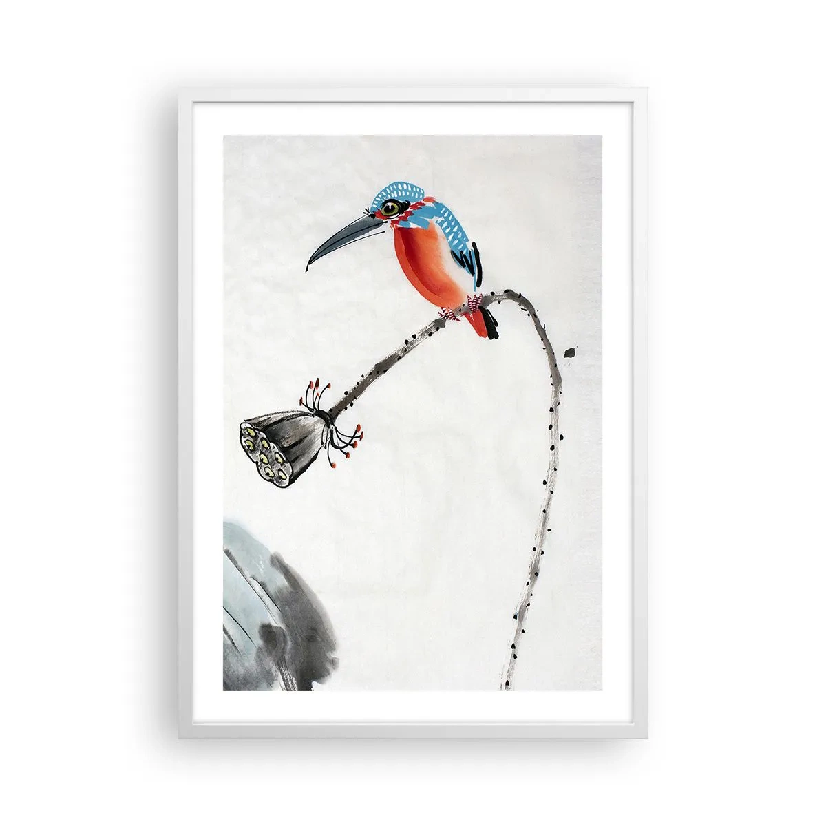 Poszter fekete keretben - A rét élete - 50x70 cm