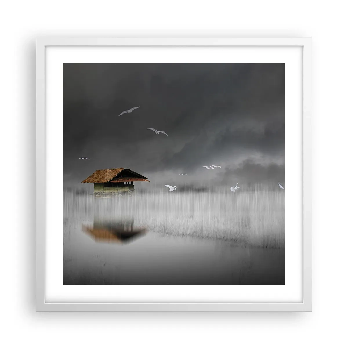 Poszter fekete keretben - Menedék az esőtől - 50x50 cm