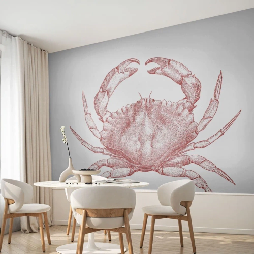 Öntapadós Fotótapéta Deluxe Sticker - Rák a rákok felett - Rák, Tenger gyümölcsei, Kagylófélék - 350x256 cm