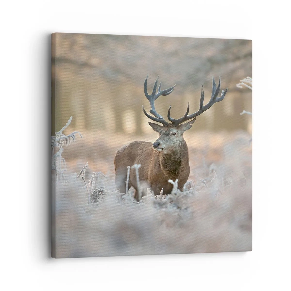 Vászonkép - Friss reggel - 30x30 cm