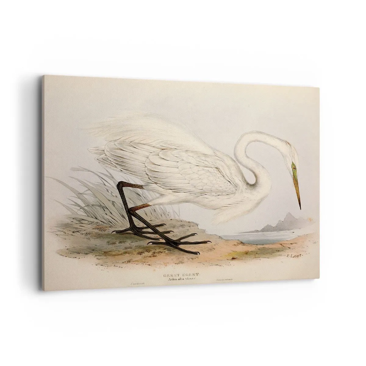 Vászonkép - Hölgy a nádasban - 100x70 cm