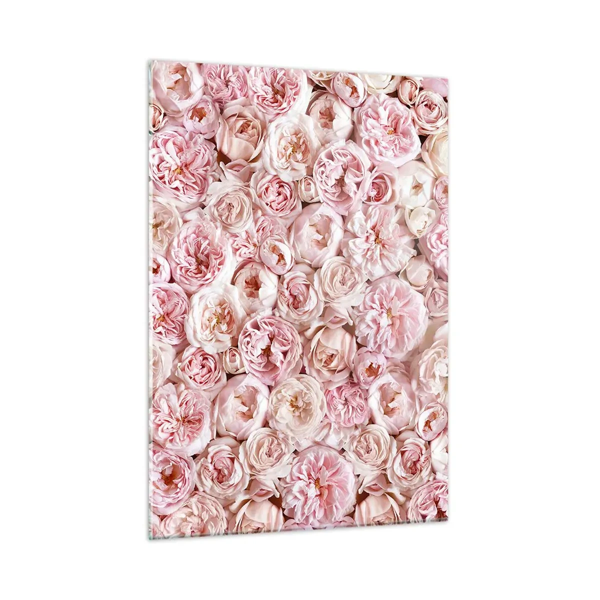 Üveg kép - Rózsákkal átszőve - 50x70 cm