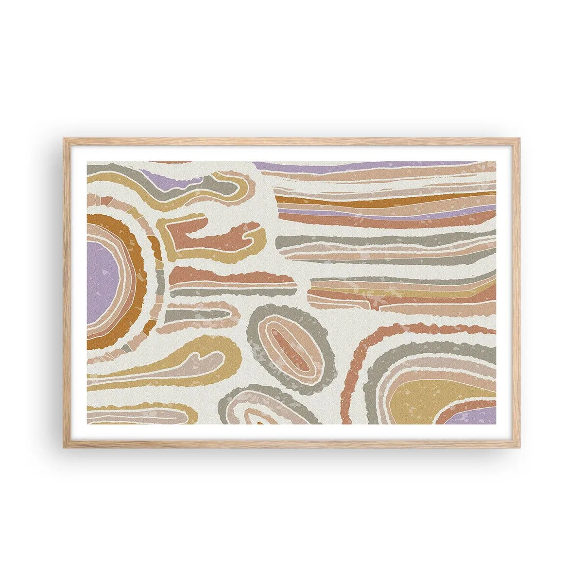 Poszter világos tölgy keretben - Színes keresztmetszetek - 91x61 cm