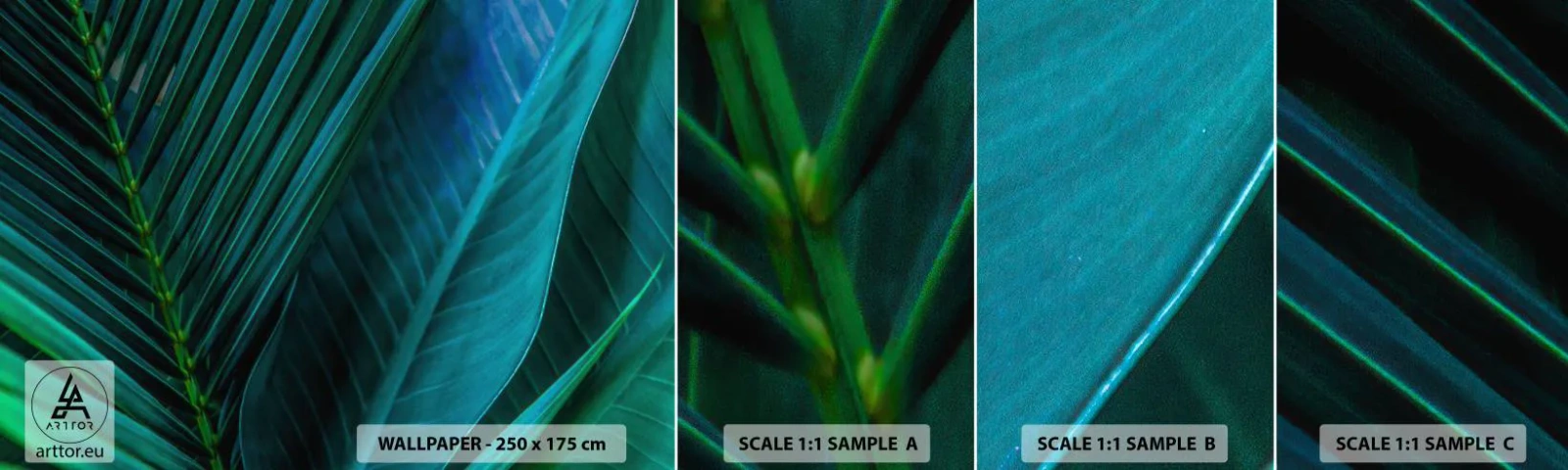 Fotótapéta Minta Standard Eco - A zöld anatómiája - Zöld levelek, Trópusi növény, Természet - 100x30 cm