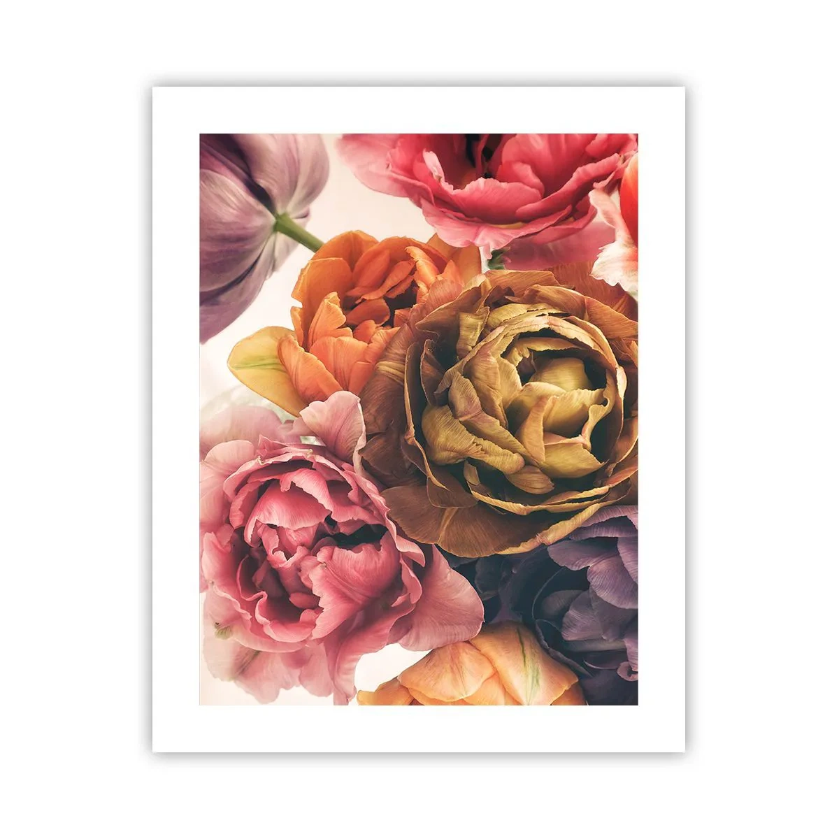 Poszter - Az élet ünnepe - 40x50 cm