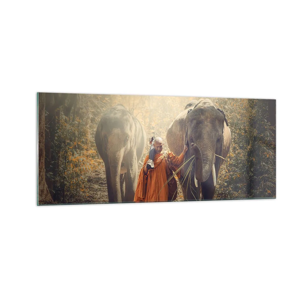 Üveg kép - Teljes megértés - 100x40 cm