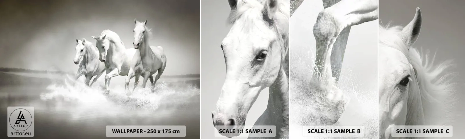 Fotótapéta Minta Standard Eco - Fehér őrület - Állatok, Lovak, Természet - 100x30 cm