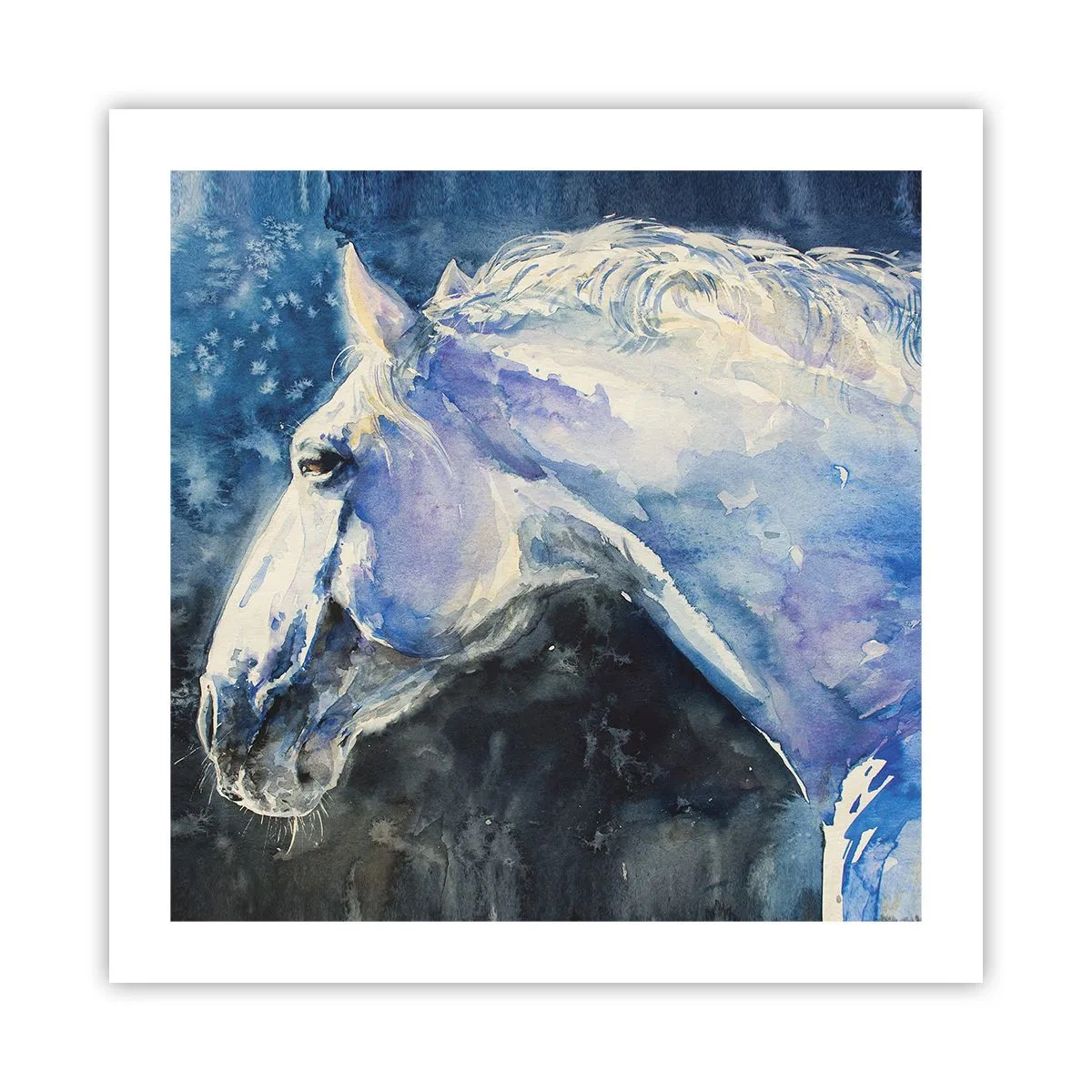 Poszter - Portré kék fényben - 50x50 cm