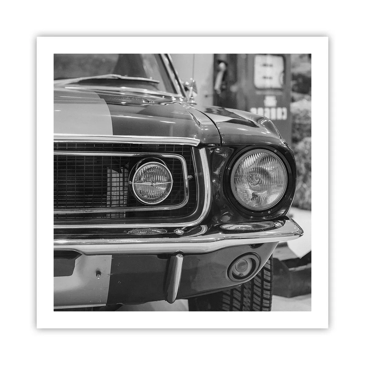 Poszter - Vad utazás - 60x60 cm