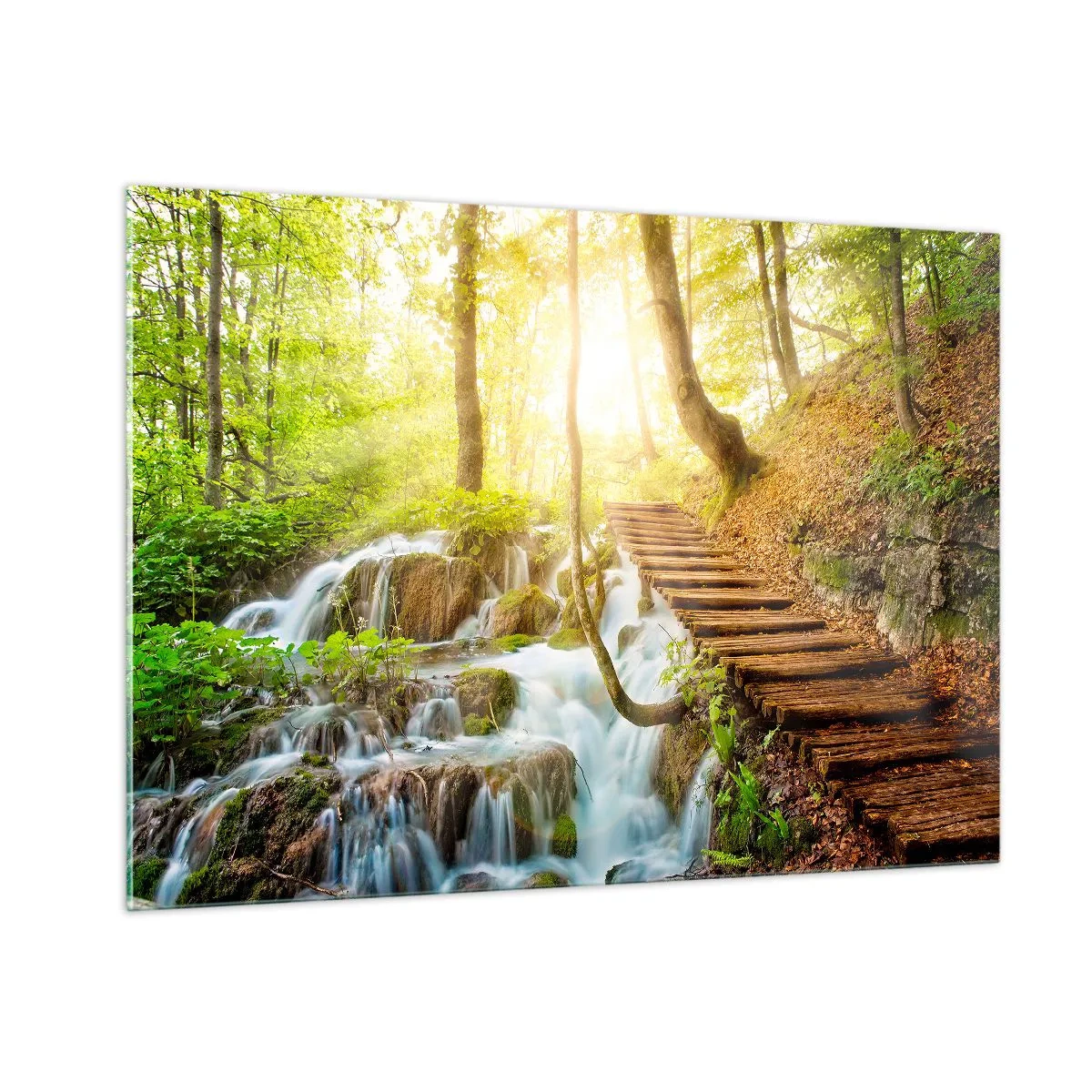 Üveg kép - Vágyott hűs - 100x70 cm