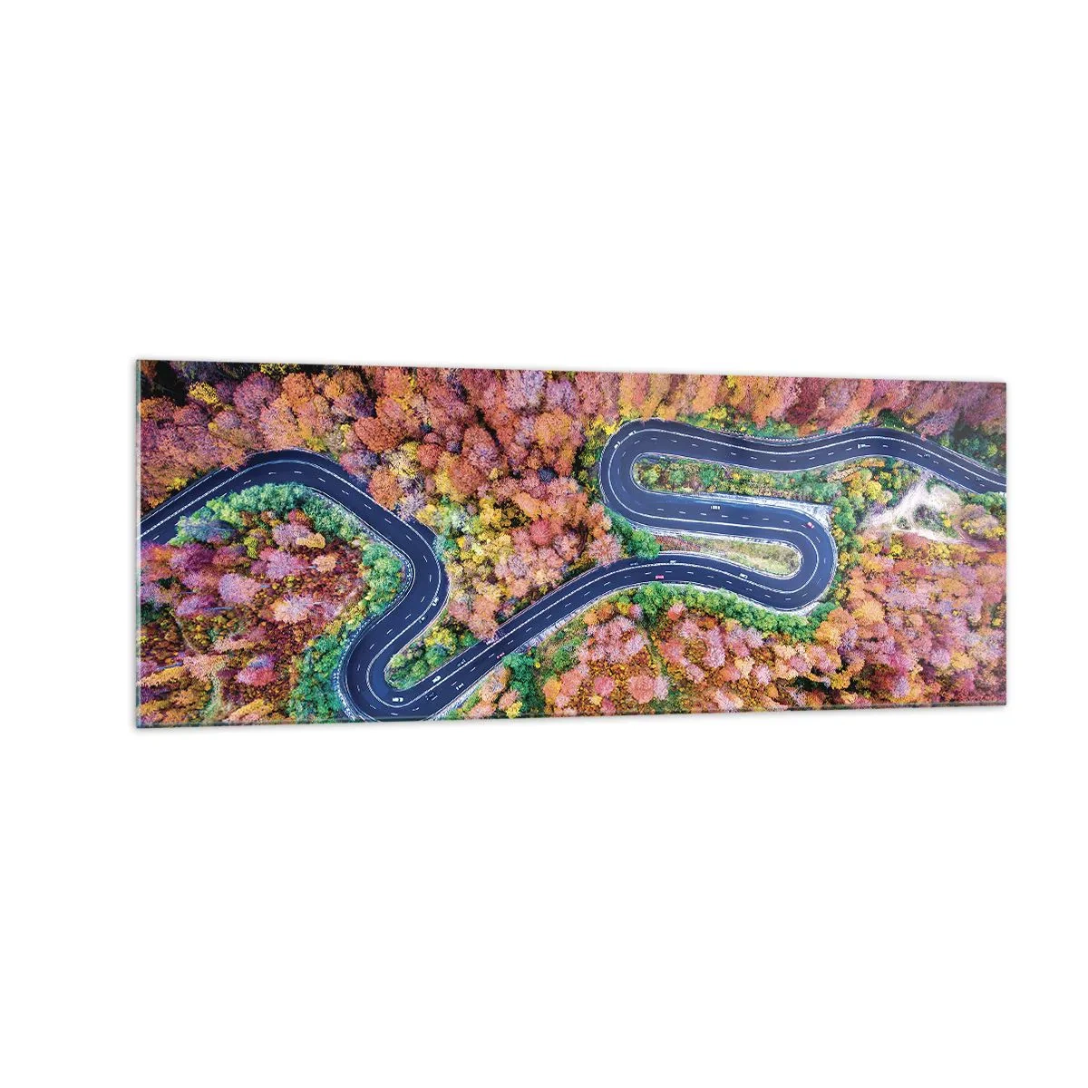 Üveg kép - Kanyargós út az erdőn keresztül - 140x50 cm