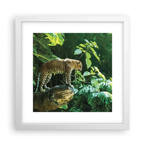 Poszter fekete keretben - A vadászatra? - 30x30 cm