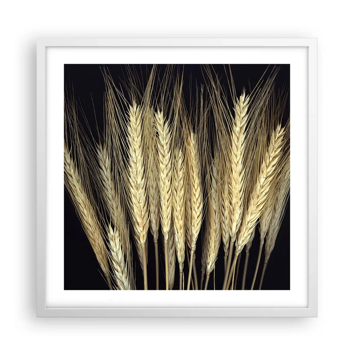 Poszter fekete keretben - Rusztikus varázslat - 50x50 cm