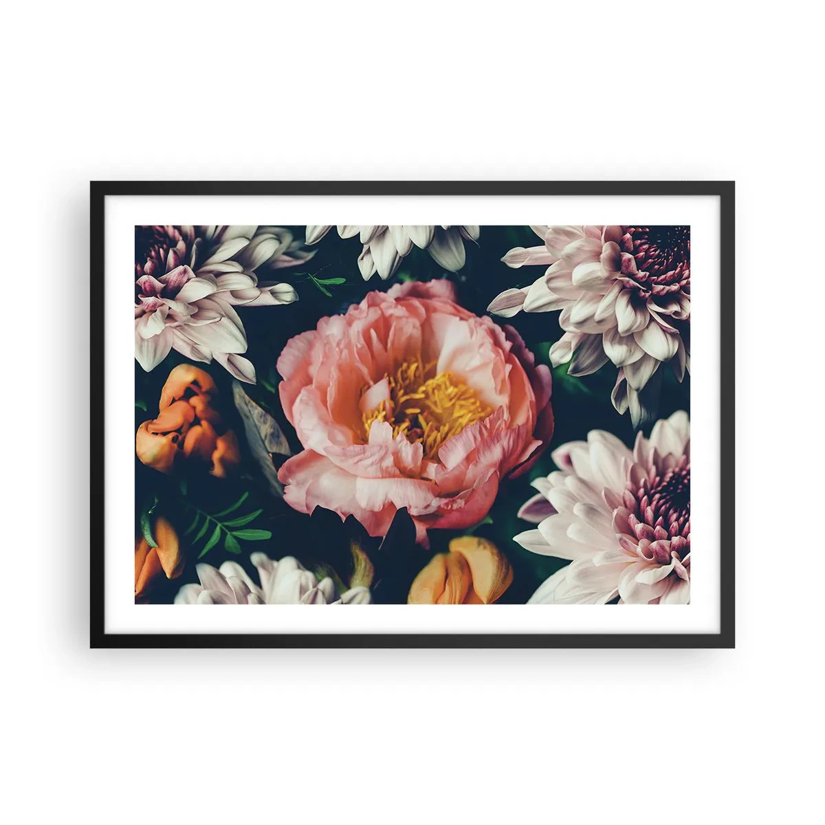 Poszter fehér keretben - Barokk pompával - 70x50 cm