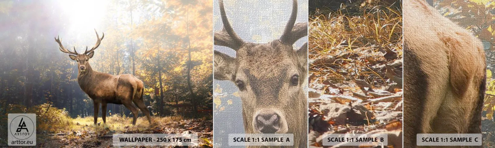 Fotótapéta Minta Premium Canvas - Teljes fenségben - Tájkép, Szarvas, Erdő - 100x30 cm