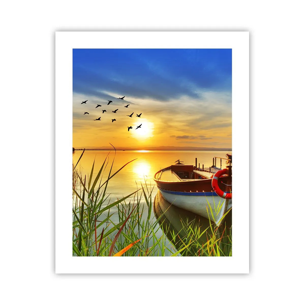 Poszter - A kormoránok már repülnek el - 40x50 cm