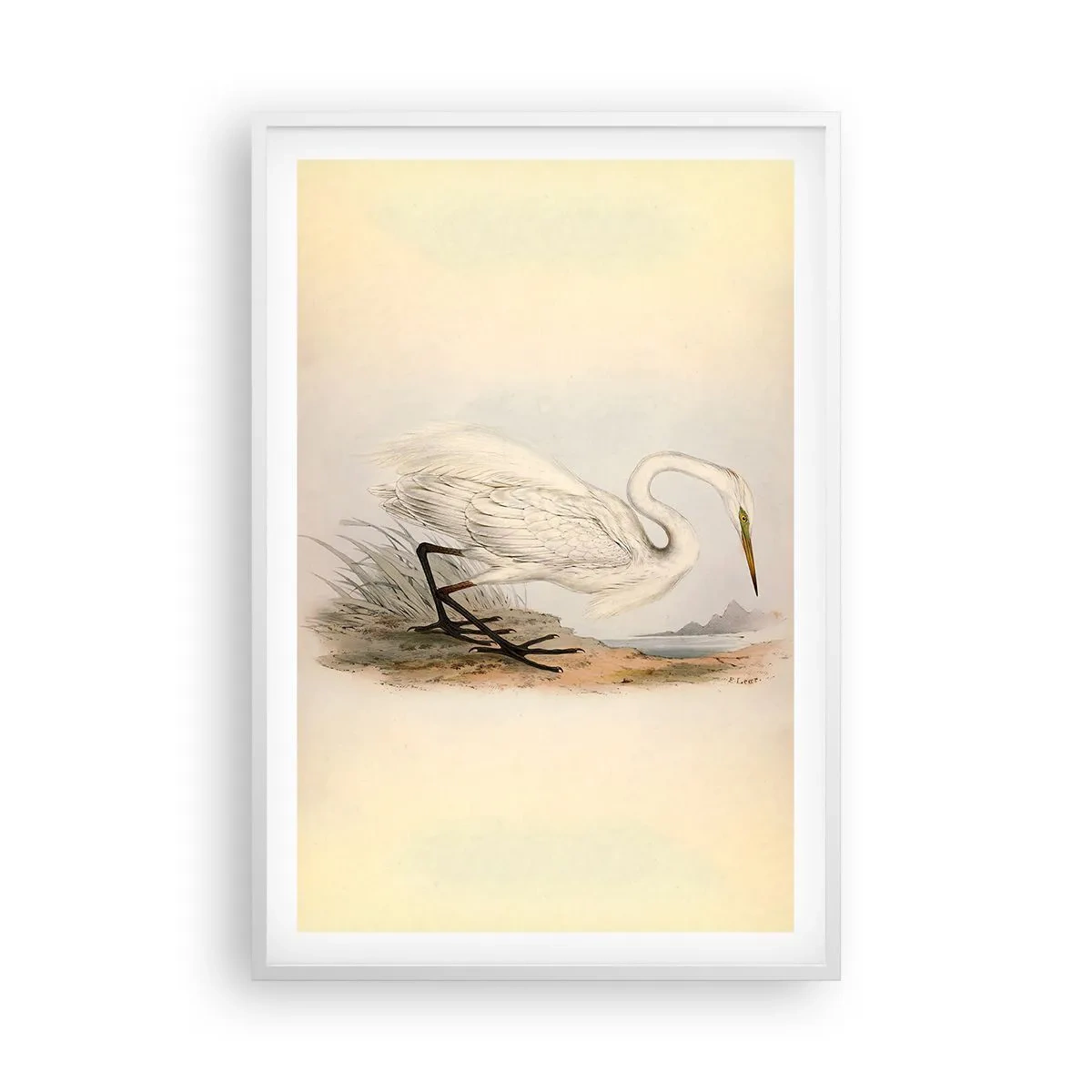 Poszter fekete keretben - Hölgy a nádasban - 61x91 cm