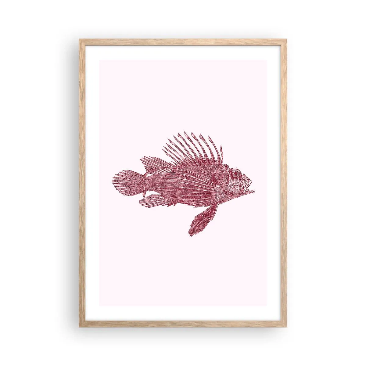Poszter világos tölgy keretben - Egzotikus vizek lakója - 50x70 cm