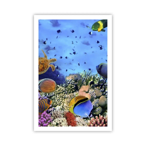 Poszter - És mit tudunk az életről... - 61x91 cm