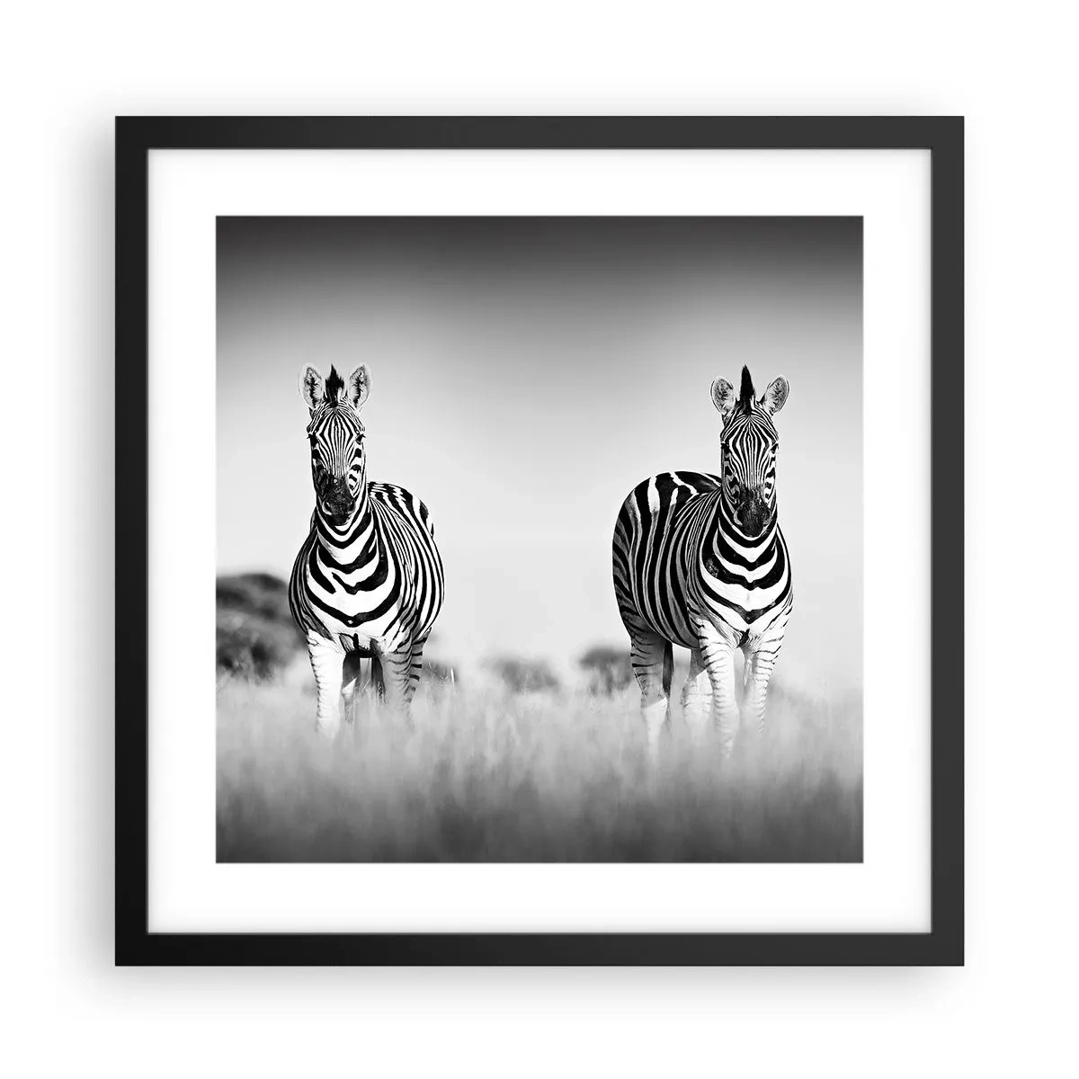 Poszter fehér keretben - A világ mégis fekete-fehér - 40x40 cm