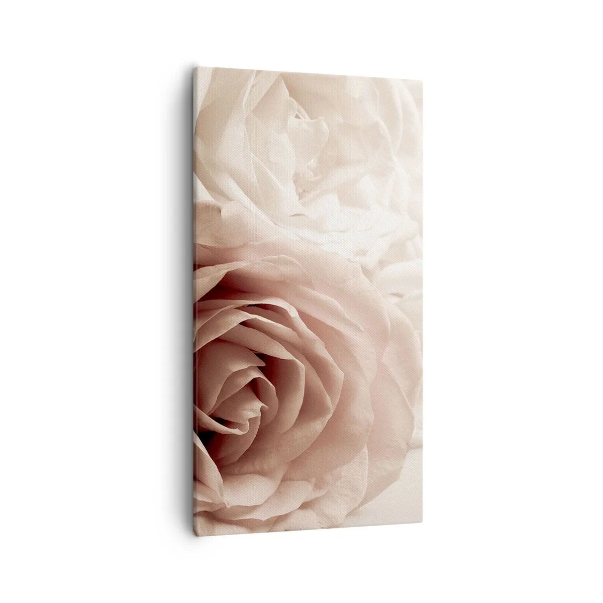 Vászonkép - Egy rózsa szívében - 55x100 cm