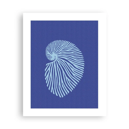 Poszter - Egy kagyló születése - 40x50 cm