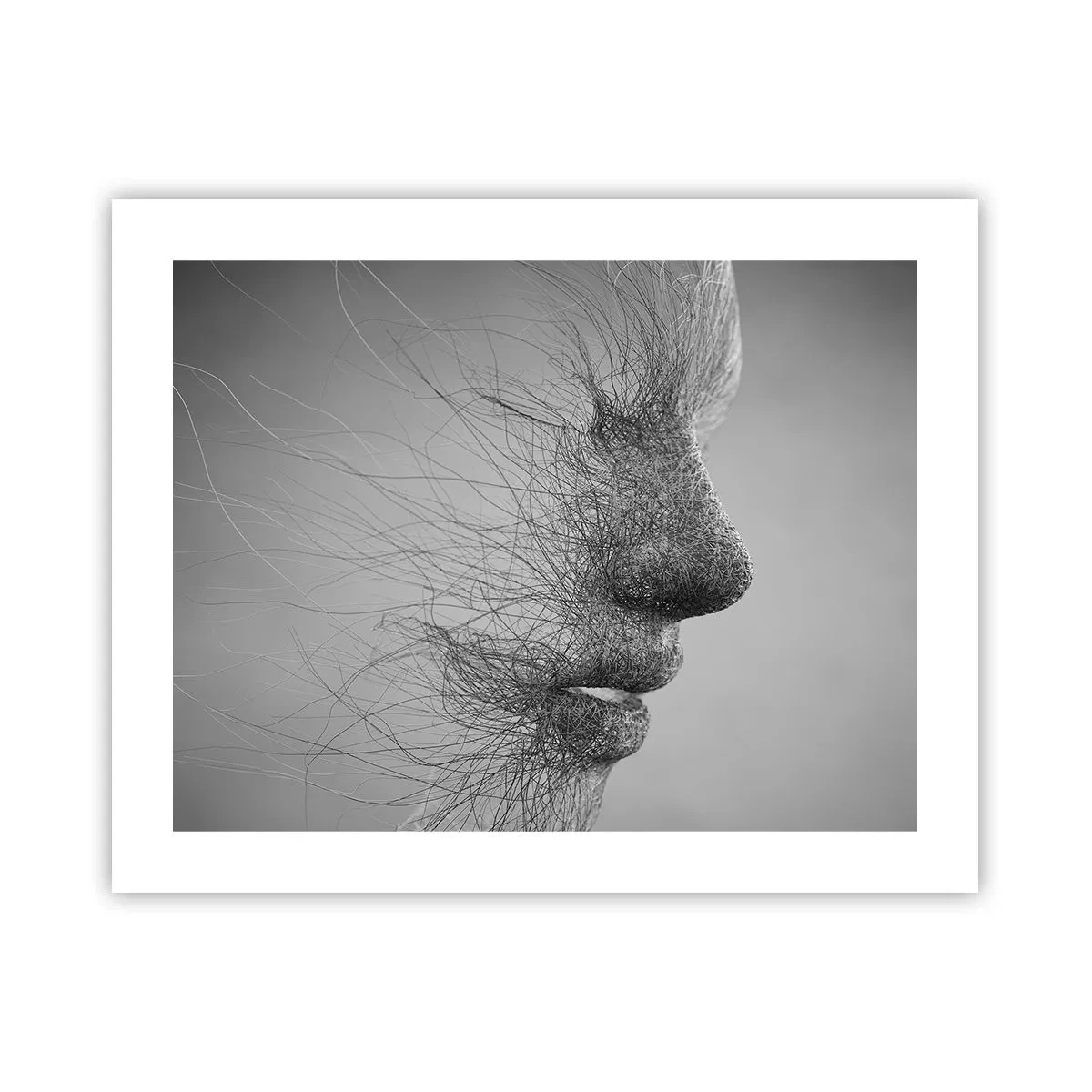 Poszter - A szél szelleme - 50x40 cm