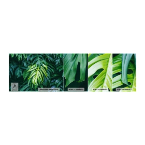 Fotótapéta Minta Öntapadós Deluxe Sticker - Merüljön el a frissességben - Trópusi növény, Monstera levél, Természet - 100x30 cm