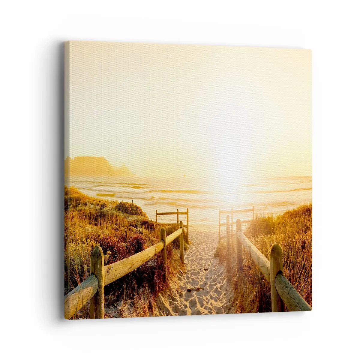 Vászonkép - A dűnén túl, a nap felé - 40x40 cm