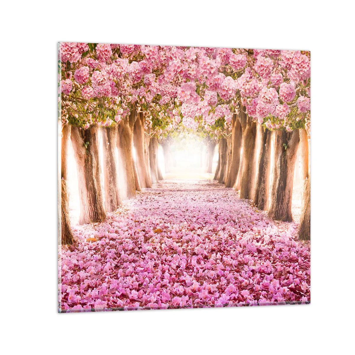 Üveg kép - Út a paradicsomba - 50x50 cm