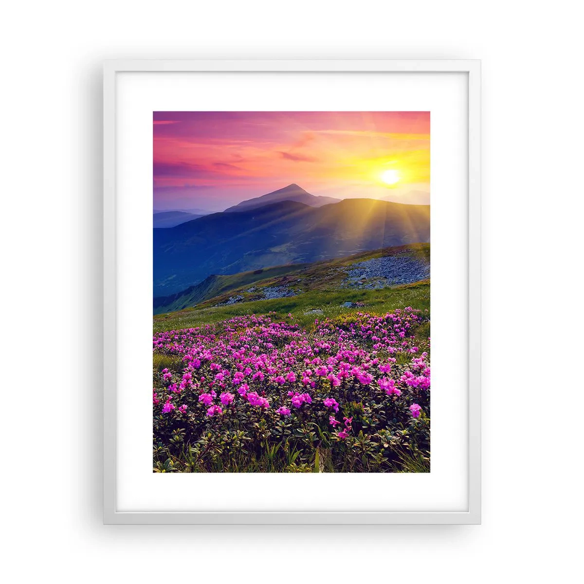 Poszter fekete keretben - … És körülötte hegyi fenyő és gyógynövények illata - 40x50 cm