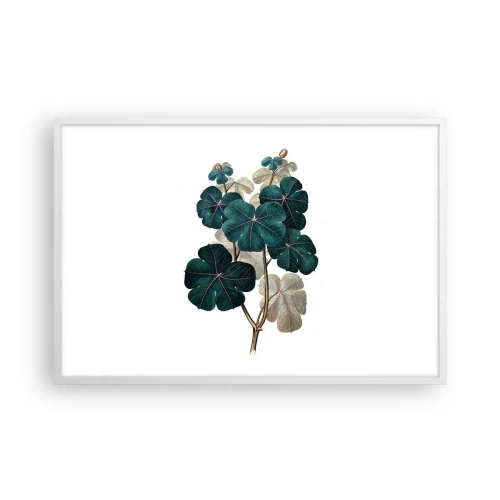 Poszter fekete keretben - Egy régi herbáriumból - 91x61 cm