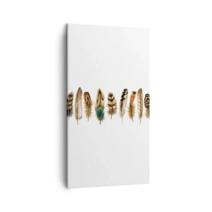 Vászonkép - Tollas variáció - 45x80 cm