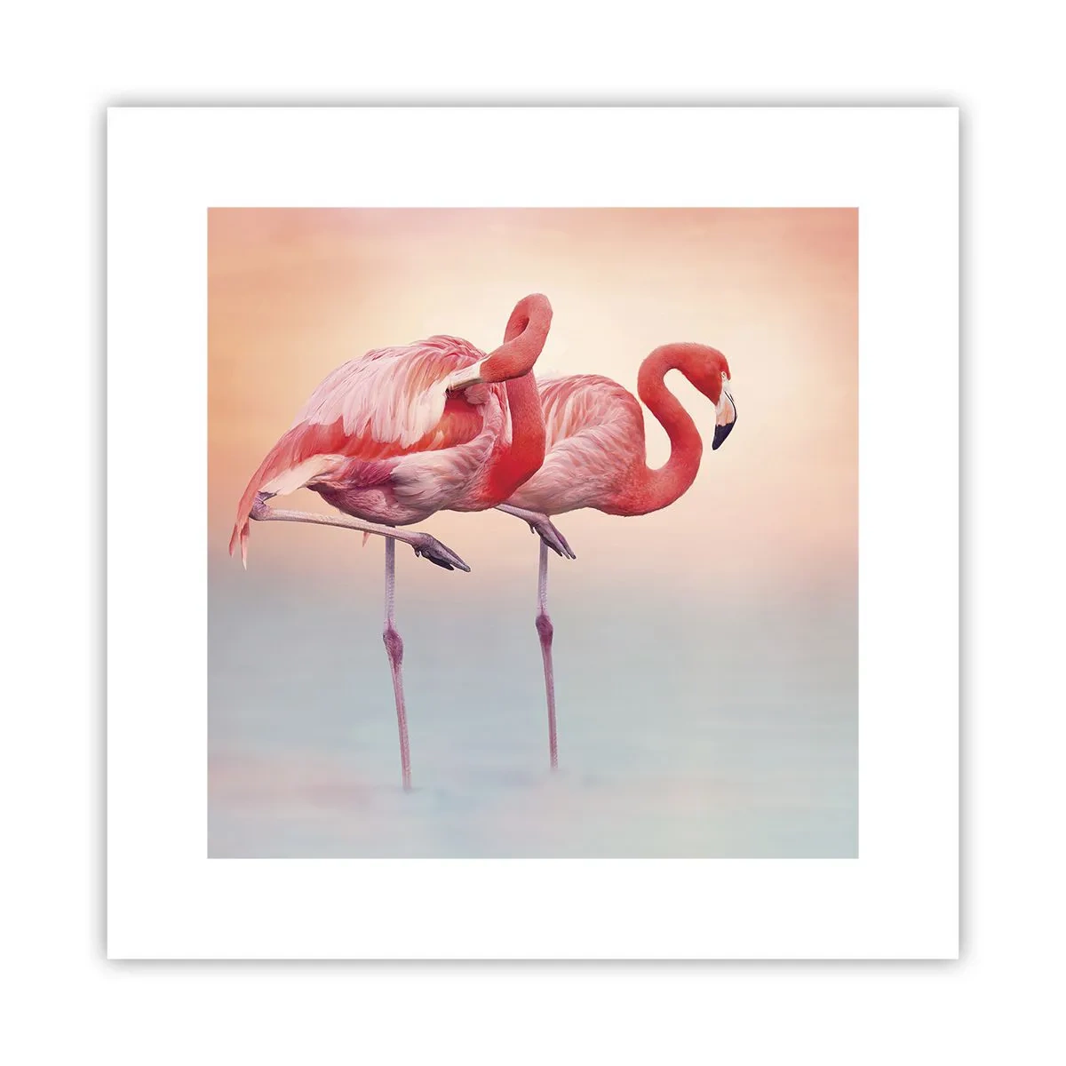 Poszter - A lenyugvó nap színe - 30x30 cm