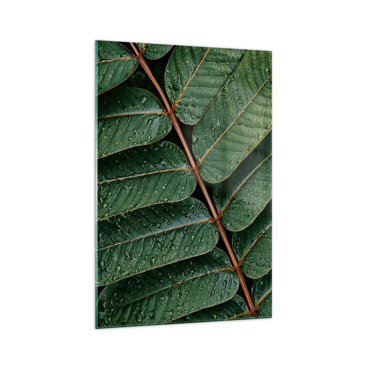 Üveg kép - Zöld ritmusban - 70x100 cm