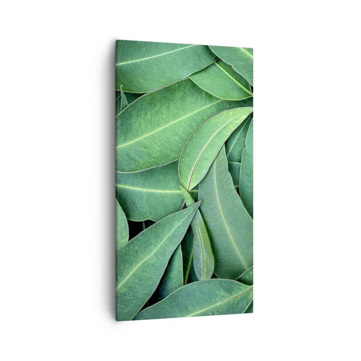 Vászonkép - Lédús és friss - 55x100 cm