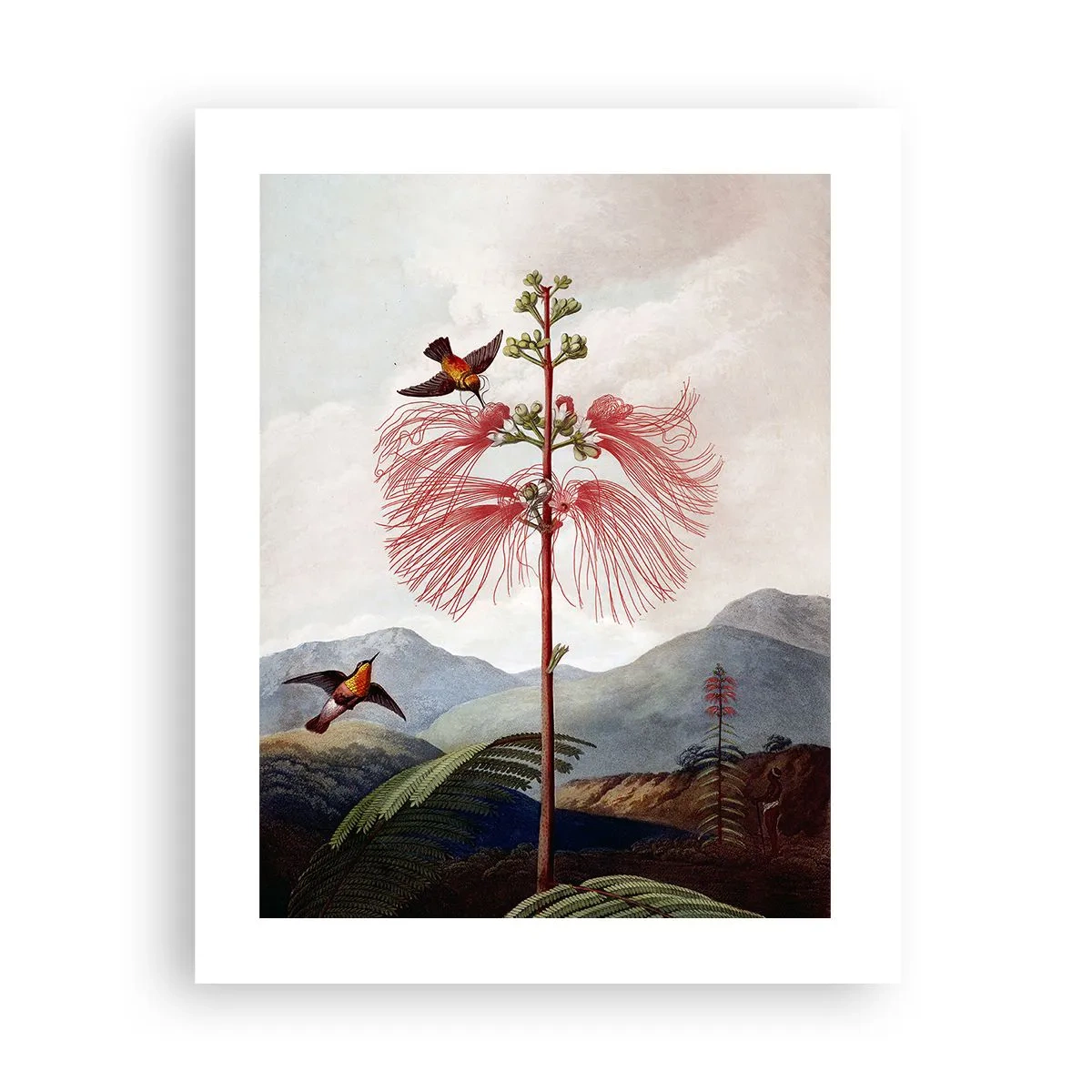 Poszter - Egy trópusi paradicsomban - 40x50 cm