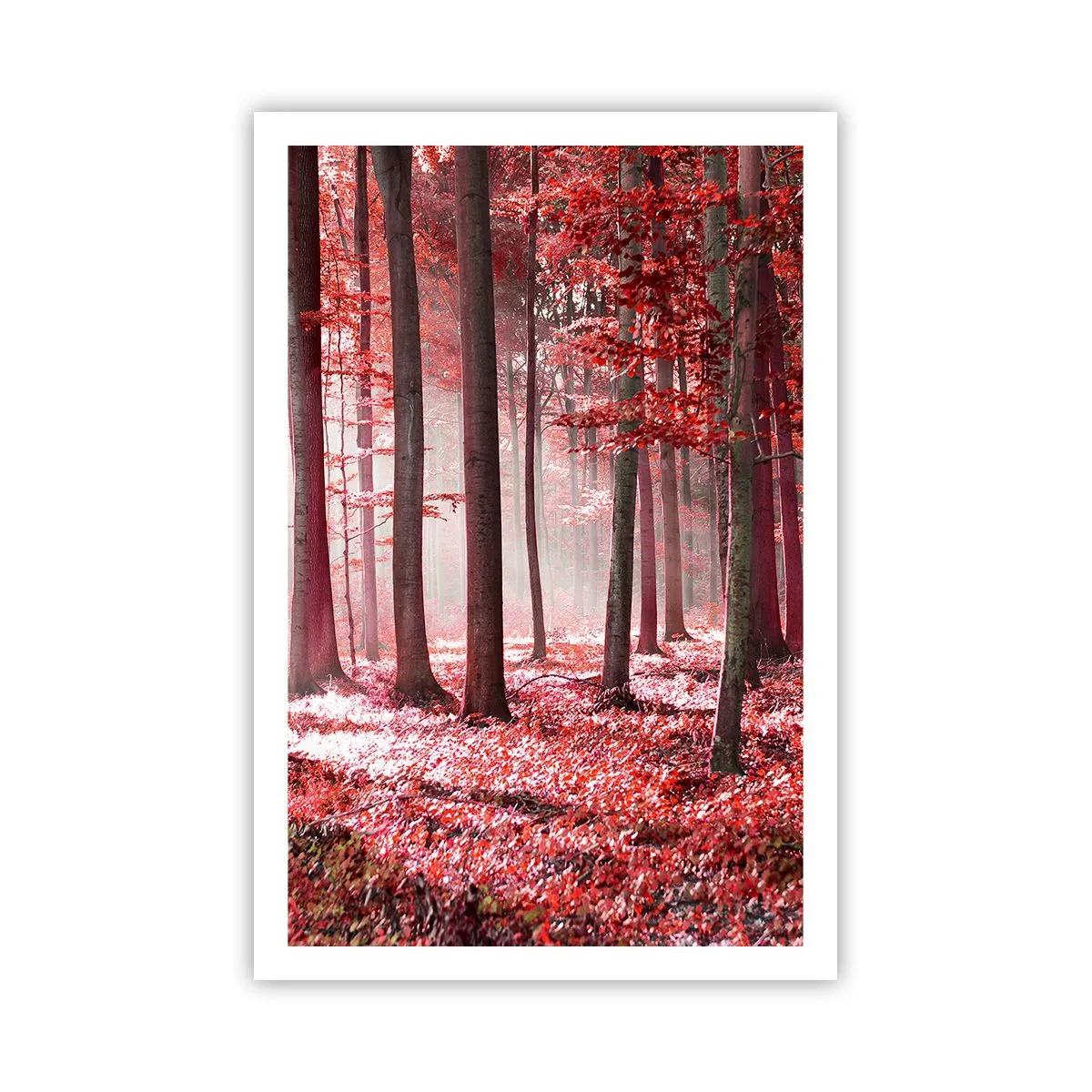 Poszter - A piros különösen szép - 61x91 cm