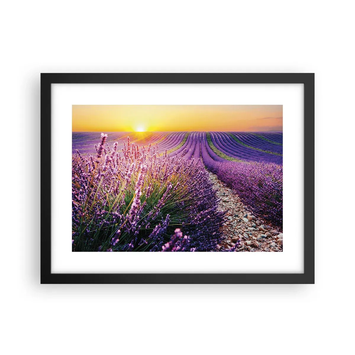 Poszter fehér keretben - Illatos szálak - 40x30 cm