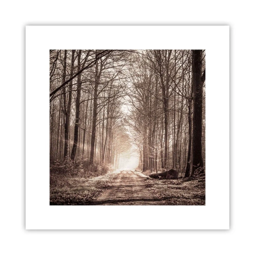 Poszter - Erdei katedrális - 30x30 cm