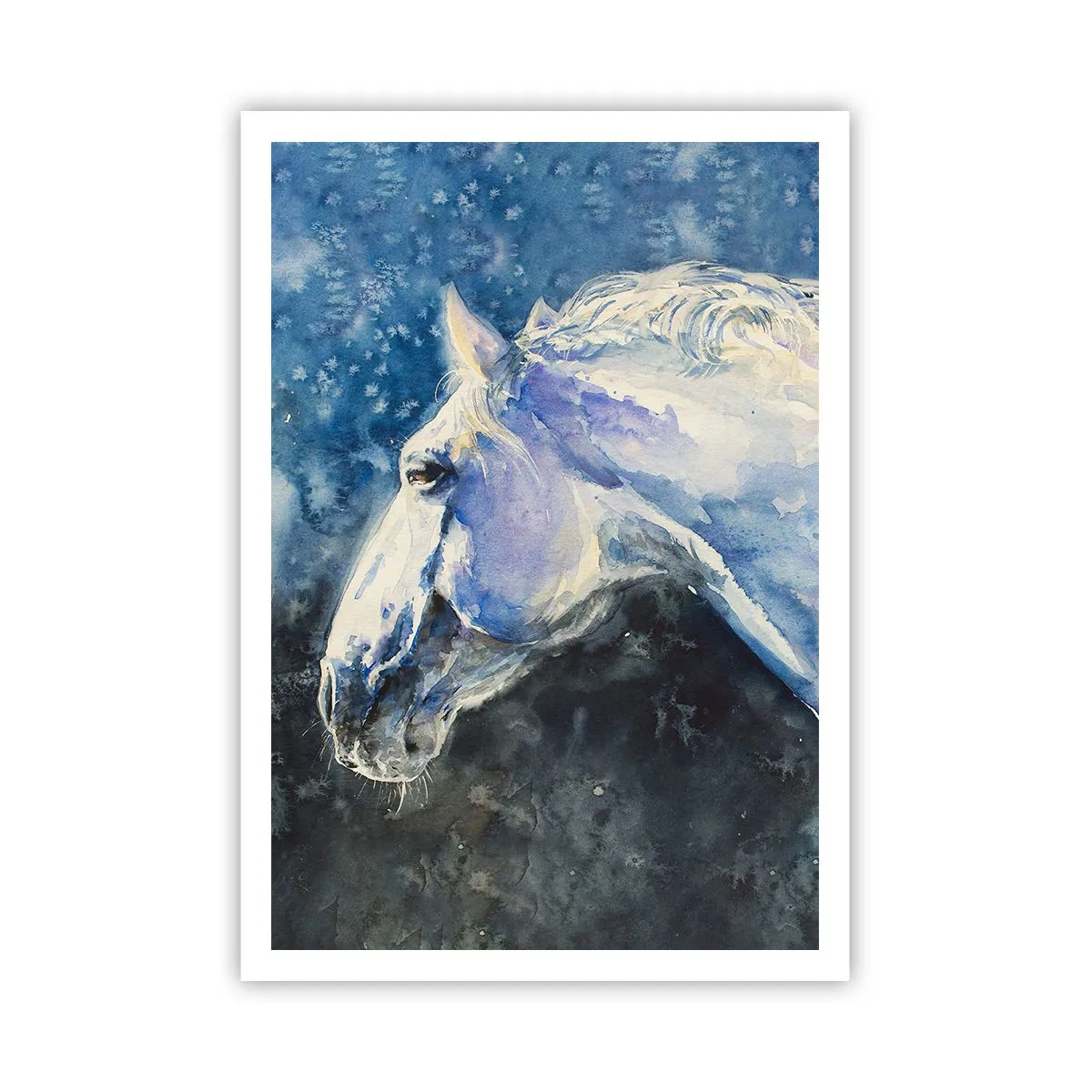 Poszter - Portré kék fényben - 70x100 cm