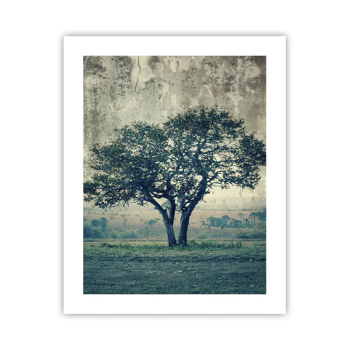Poszter - Almafa a kék mezőn? - 40x50 cm