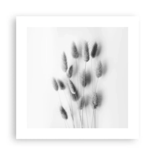 Poszter - A bolyhos fű - 40x40 cm