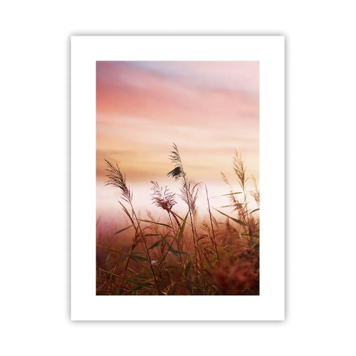 Poszter - Sárkányok, pitypangok, szél - 30x40 cm